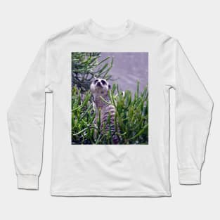 Meerkat Long Sleeve T-Shirt